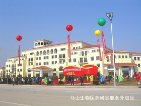 馬山生物醫(yī)藥研發(fā)服務(wù)區(qū)